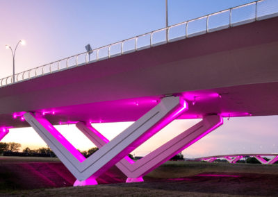 Trinity River Vision Bridges – Fort Worth, TX